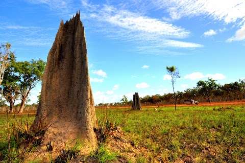 Photo: Rinyirru (Lakefield) National Park